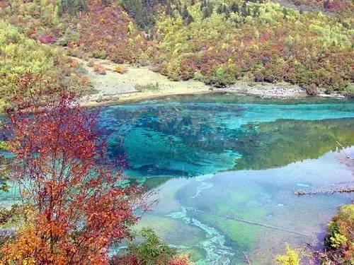 了解晨起养成哪些小习惯,可促进身心健康,还能延年益寿呢?平台,拓宽知识视野